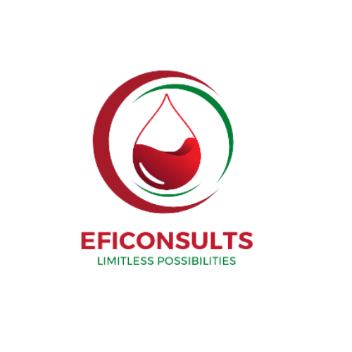 EfiConsults Logo